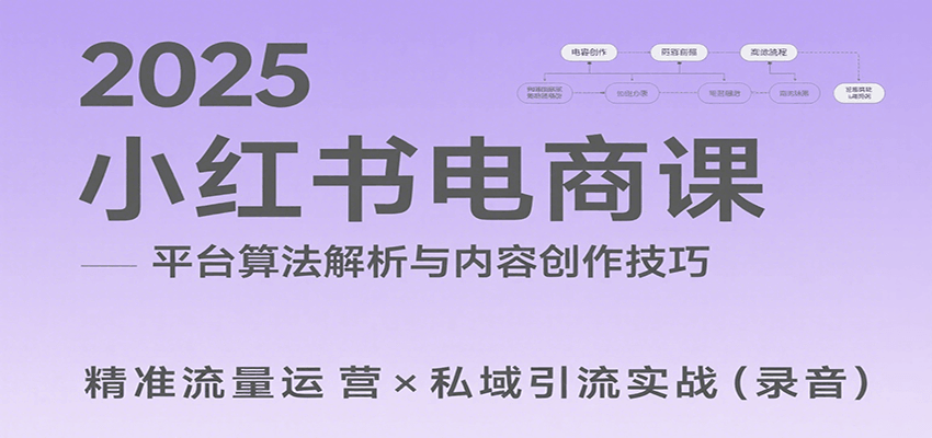 2025小红书电商课：解析算法，创作高转化内容，助力卖家获取流量实现变现(录音)-优创网