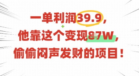 一单利润39.9，有人靠这个变现几十个，偷偷闷声发财的项目-百盟网