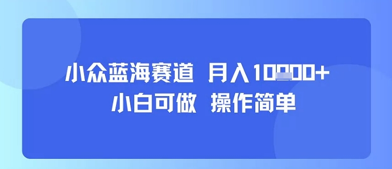 小众蓝海赛道，小白可做，操作简单，每天30分钟，月入1W+-百盟网