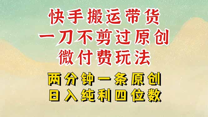 快手黑科技搬运带货，一刀不剪过原创，微付费投流玩法，轻松日入四位数…-百盟网