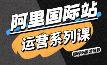 醒目老师·阿里国际站运营系列课(更新11月)-百盟网
