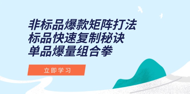 非标品爆款矩阵打法，标品快速复制秘诀，单品爆量组合拳-百盟网