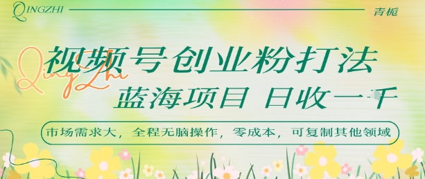 视频号创业粉打法，日入1k，蓝海项目，市场需求大，全程无脑操作，可复制-项目网