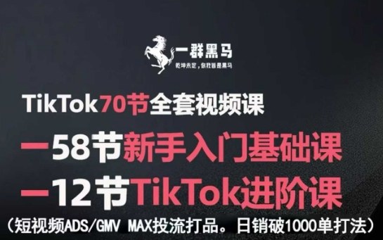 TikTok全套视频课，新手入门+进阶课，短视频ADS-GMV MAX投流打品，日销破1000单打法-百盟网