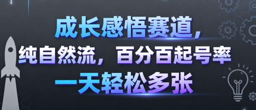 成长感悟赛道，纯自然流，百分百起号率 一天轻松多张-百盟网