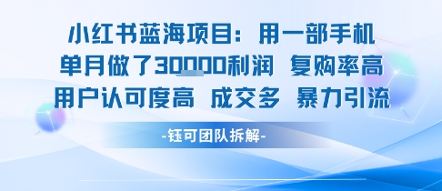 小红书蓝海项目，一部手机单月做了3W利润，小白也能月入过1W用户认可度高成交多-项目网