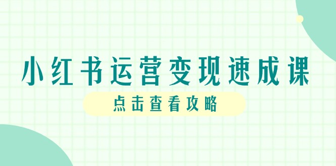 小红书运营变现速成课，账号搭建到暴力起号，个人IP全流程指南-百盟网