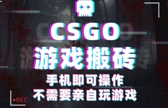 CSGO游戏挂G捡漏，单日扫货5张+，年底小高峰上车可吃肉，手机即可操作，兼职副业创业网创【揭秘】-百盟网
