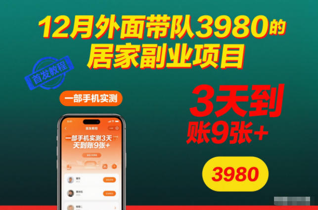 12月外面带队3980的居家副业项目，一部手机实测3天到账9张+，首发教程【揭秘】-百盟网