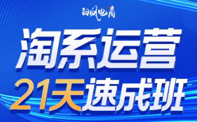 白凤电商·淘系运营21天速成班(更新9月)-百盟网