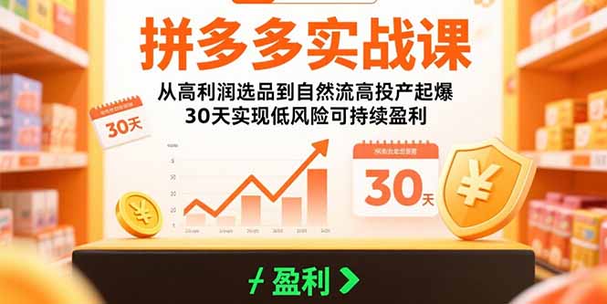 拼多多实战课：从高利润选品到自然流高投产起爆 30天实现低风险可持续盈利-百盟网