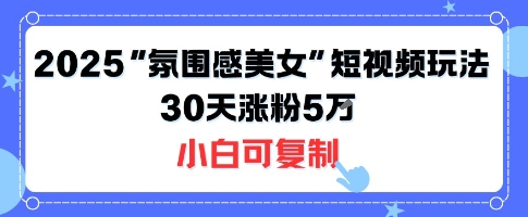 不露脸也能火！2025“氛围感美女”短视频玩法，30天涨粉5W小白可复制-百盟网