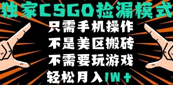 CSGO自动捡漏项目，最新独家玩法，不是美区搬砖，不需要了解和玩游戏，新手小白轻松月入1W+【揭秘】-百盟网
