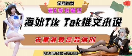 海外tiktok小说推文暴力项目，高停留率，高转化率，上手后一天搞顿饭钱不是问题-源创智汇网