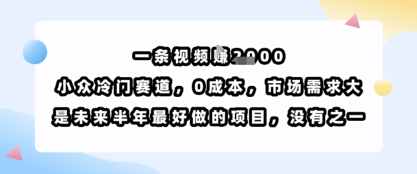 一条视频挣1k，小众冷门赛道，0成本，市场需求大，是未来半年最好做的项目，没有之一-百盟网