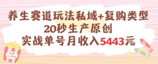 养生赛道玩法私域+复购类型，20秒生产原创实战单号月收入5k+-百盟网