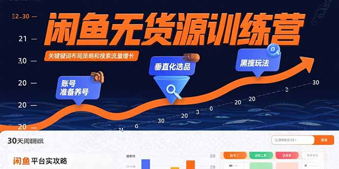 闲鱼无货源训练营：账号准备养号/垂直化选品/黑搜玩法，0基础30天盈利指南-金创谷