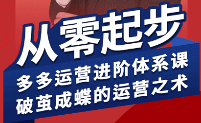 海神·拼多多运营进阶系统课(更新9月)-百盟网