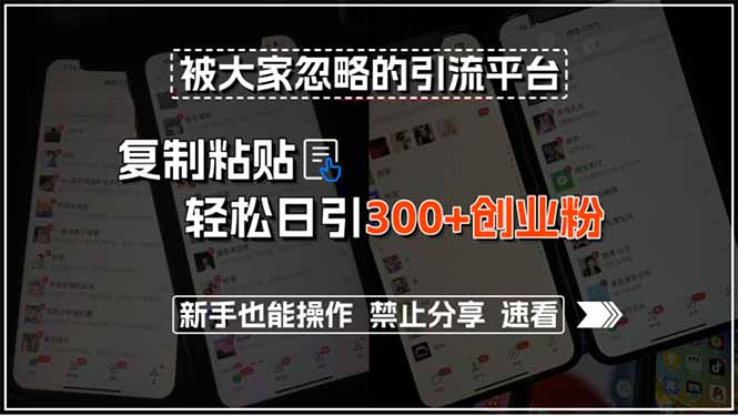 被大家忽略的引流平台，复制粘贴轻松日引300+创业粉，新手也能操作，禁…-百盟网