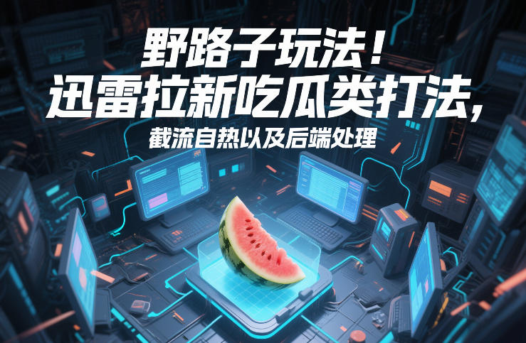 野路子玩法！迅雷拉新吃瓜类打法，截流自热以及后端处理-百盟网