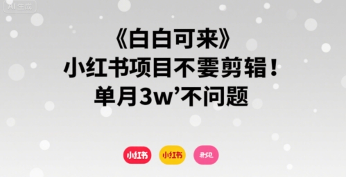 小白可来 小红书项目不需要剪辑 单月3w不是问题-百盟网