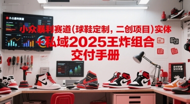 小众暴利赛道(球鞋定制，二创项目)实体+私域2025王炸组合 交付手册-百盟网