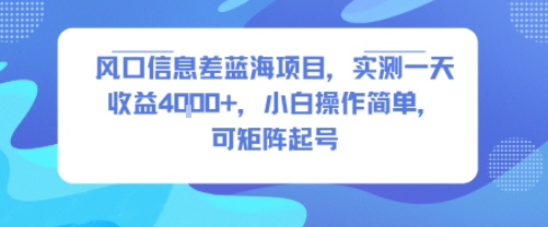 风口信息差蓝海项目，实测一天收益4k+，小白操作简单，可矩阵起号-百盟网