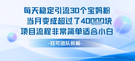 每天稳定引流30个人 当月变成超过了4个W项目流程非常简单适合小白-百盟网