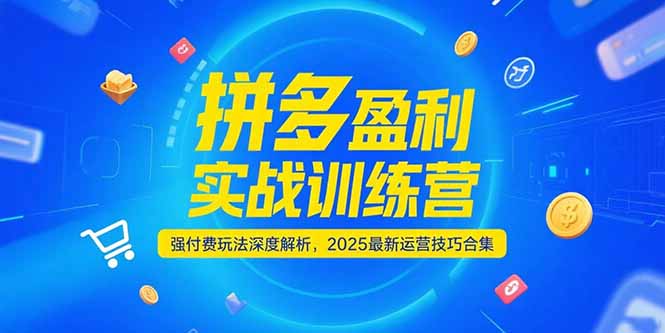 拼多多盈利实战训练营，强付费玩法深度解析，2025运营技巧合集-更新6月-百盟网
