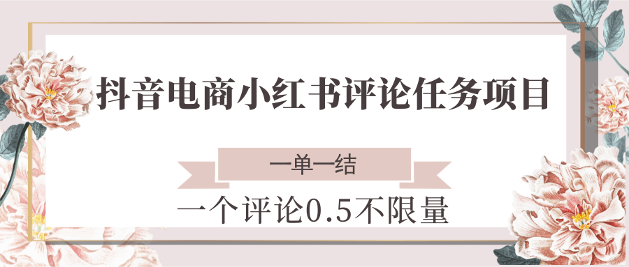 抖音电商小红书评论任务项目，一个评论0.5，一单一结 不限量-有量联盟