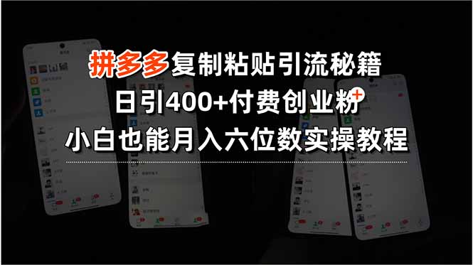 拼多多复制粘贴引流秘籍，日引400+付费创业粉，小白也能月入六位数实操…-时光资源网