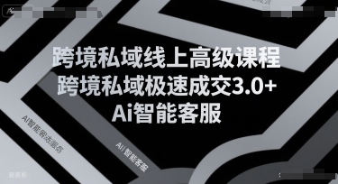 跨境私域线上高级课程，跨境私域极速成交3.0+Ai智能客服-百盟网
