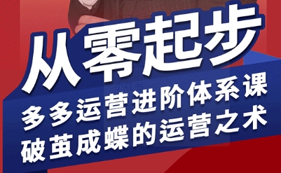 拼多多运营进阶系统课，从零起步，多多运营进阶体系课，破茧成蝶的运营之术-百盟网