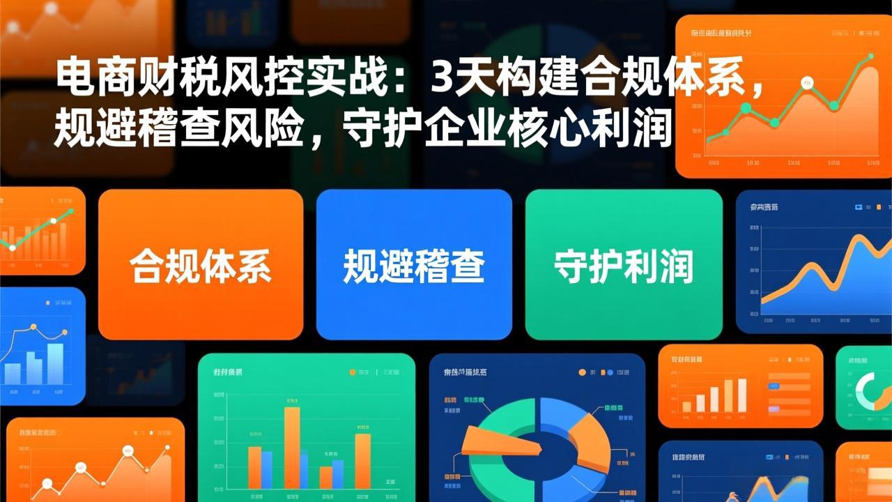 电商财税风控实战：3天构建合规体系，规避稽查风险，守护企业核心利润-百盟网