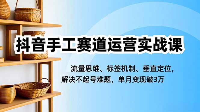 抖音手工赛道运营实战课，流量思维、标签机制、垂直定位，解决不起号难题，单月变现破3万-百盟网