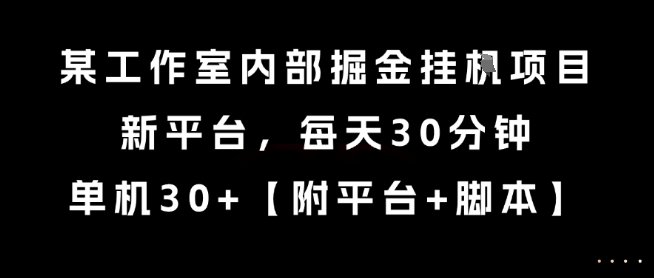 某工作室内部掘金挂G项目，新平台，每天30分钟，单机30+【揭秘】-百盟网