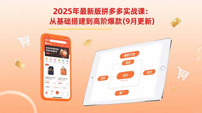 2025年最新版拼多多实战课：从基础搭建到高阶爆款(9月更新-百盟网