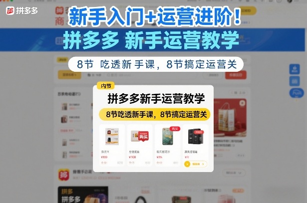 新手入门+运营进阶！拼多多新手运营教学，8节吃透新手课，8节搞定运营关-百盟网