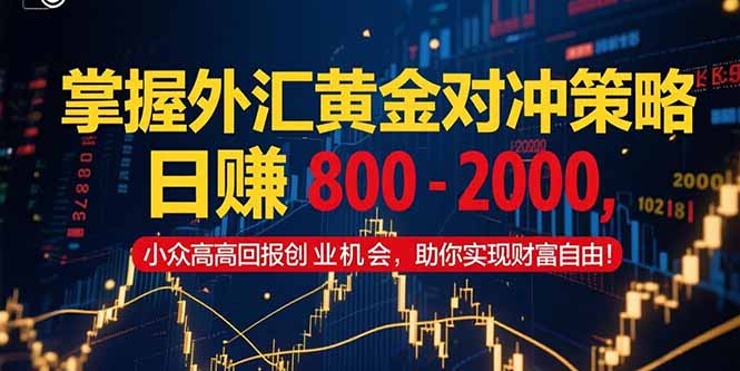 掌握外汇黄金对冲策略，日赚 800 – 2000，小众高回报创业机会，助你实…-百盟网