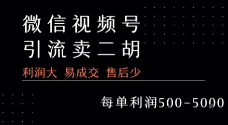 视频号卖二胡教程，利润大 易成交 售后少，一单利润5张+-项目网