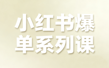 尼采老师·小红书爆单系列课-百盟网
