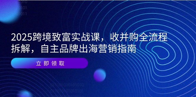 2025跨境致富实战课，收并购全流程拆解，自主品牌出海营销指南-百盟网