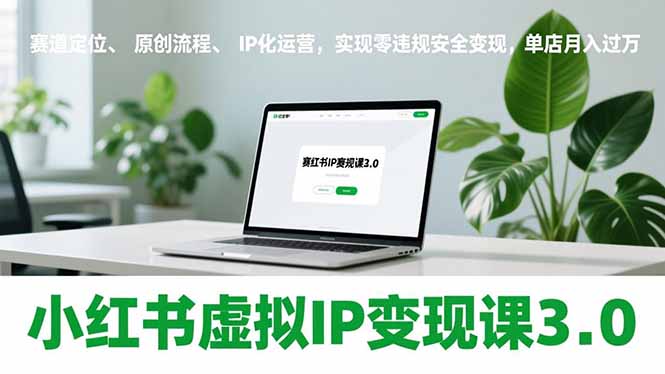 小红书虚拟IP变现课3.0，赛道定位、原创流程、IP化运营，实现零违规安全变现，单店月入过万-百盟网