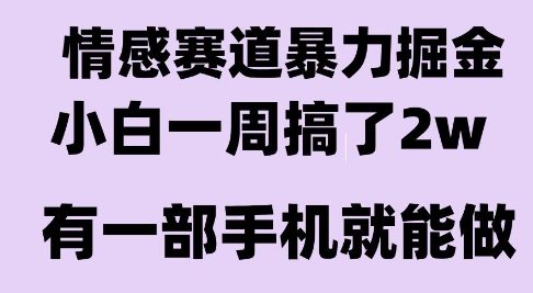 情感暴力掘金项目，新人操作一周挣了2W，长期稳定小白可做【揭秘】-百盟网