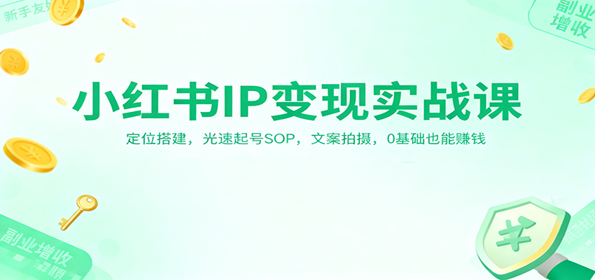 小红书IP变现实战课：定位搭建，光速起号SOP，文案拍摄，0基础也能赚钱-百盟网