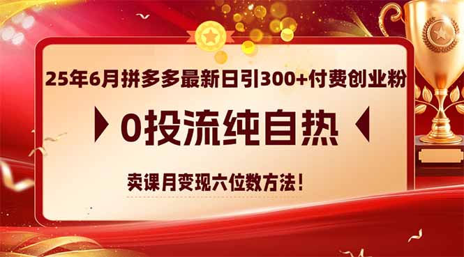 25年6月拼多多最新日引300+付费创业粉，0投流纯自热 卖课月变现六位数方法-百盟网