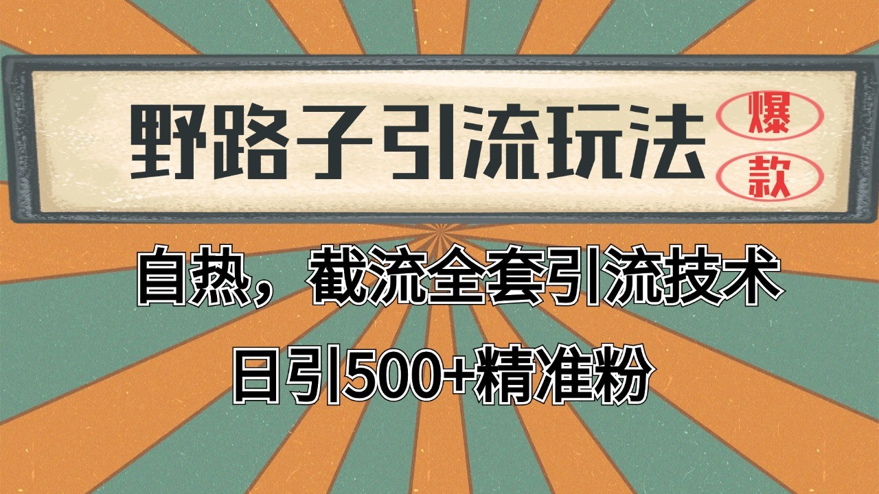2024首发野路子引流玩法截流自热全平台打法，全自动引流【日引2000+精准客户】-百盟网