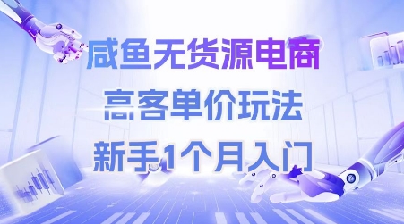 咸鱼无货源电商，高客单价玩法，新手1个月入门-百盟网