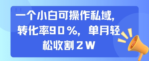 一个小白可操作私域，转化率90%，单月轻松收割2W-百盟网
