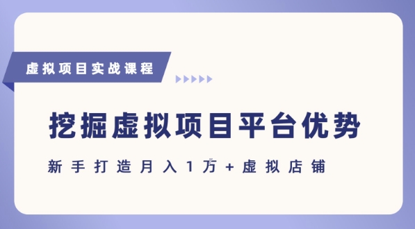 抓住虚拟项目各平台优势，新手轻松月入1W+(给出具体建议)-百盟网